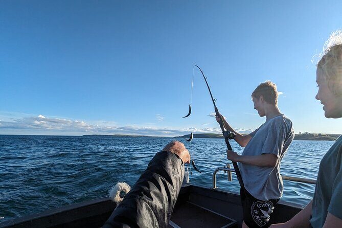 Boat Tour of Kinsale Harbour and Bandon River - Key Points