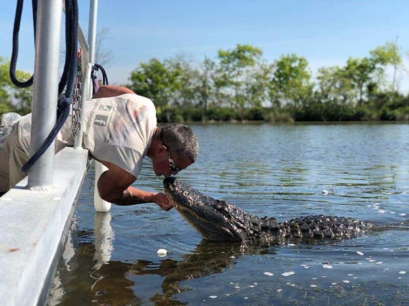 Boat Tour of Louisiana Bayous Near New Orleans - The Sum Up