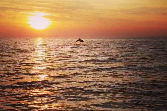Boat Tour, Swimming, Snorkeling, Southern Istria, Kamenjak, Premantura - Cancellation Policy