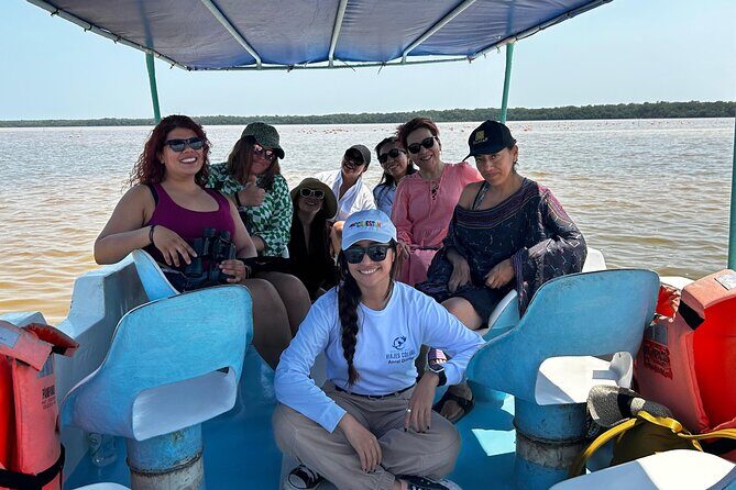 Boat tour through the mangroves of Celestún and Playa from Merida - A Closer Look at the Tour Experience