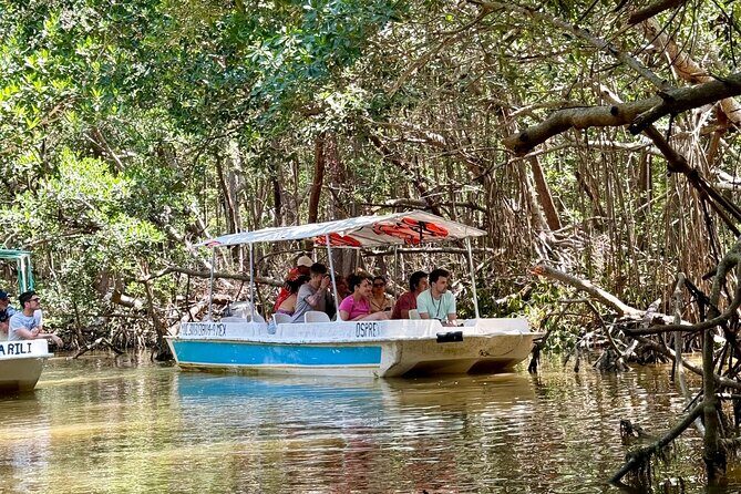 Boat tour through the mangroves of Celestún and Playa from Merida - Final Thoughts