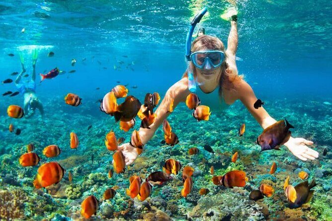 Boat Tour to Bibijagua Beach from Punta Cana - Practical Tips for Travelers