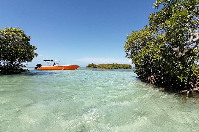 Boat Tour with Lunch in the Water in Guadeloupe Lagoon - Introduction: A Fun and Authentic Lagoon Adventure