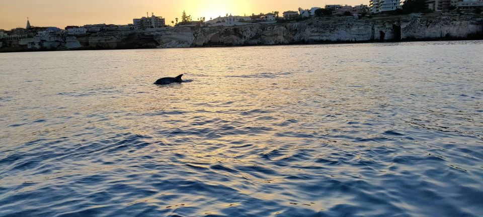 Boat Tour With Lunch on Board - Tips for a Great Experience