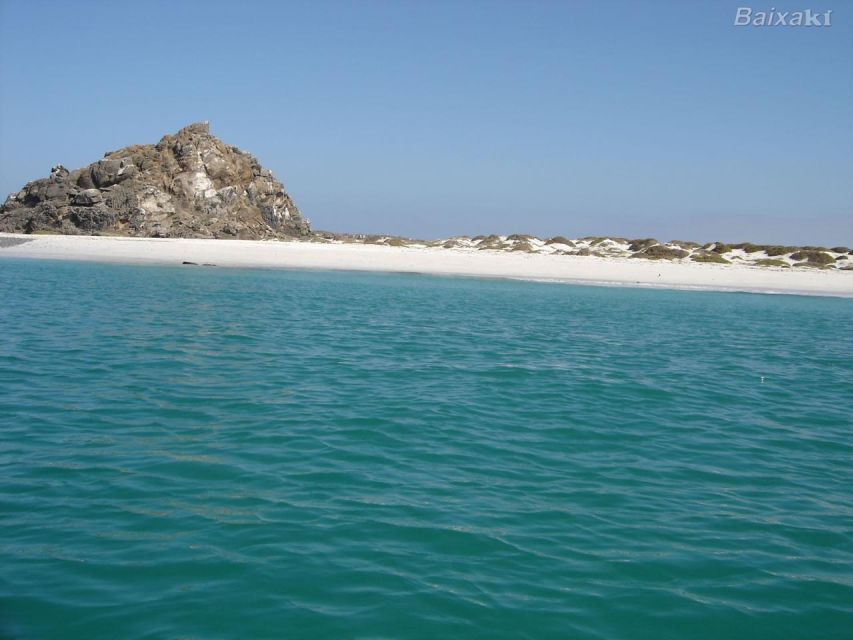 Boat Tours - Key Points