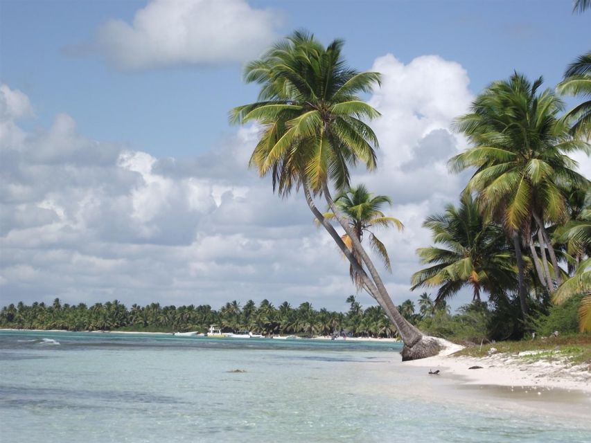 Boat Tours - Scenic Highlights