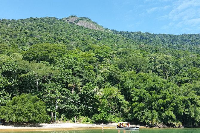 Boat Tours to Tropical Islands - Customer Reviews and Ratings