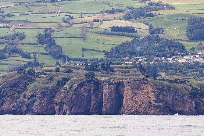 Boat Trip along the North Coast in Capelas - Who Will Love This Experience?
