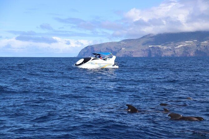 Boat trip along the Northwest Coast of La Palma - FAQ