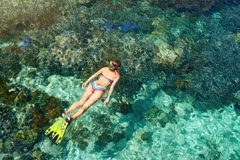 Boat trip along the south coast of Menorca: snorkeling and stand up paddle. - The Boat and Equipment