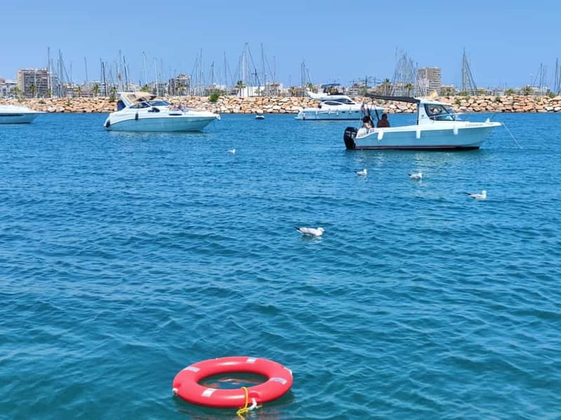 Boat trip and swimming in the sea - An In-Depth Look at the Experience