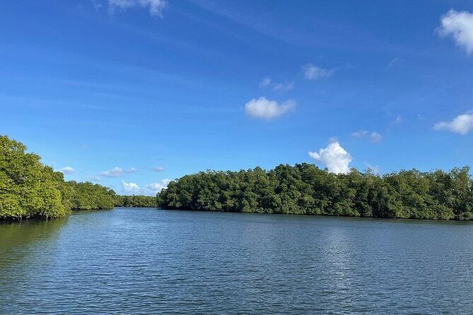 Boat trip EN 1/2 Day in the Grand Ass DE Sac Marin - Final Thoughts