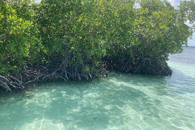 Boat trip EN 1/2 Day in the Grand Ass DE Sac Marin - FAQ