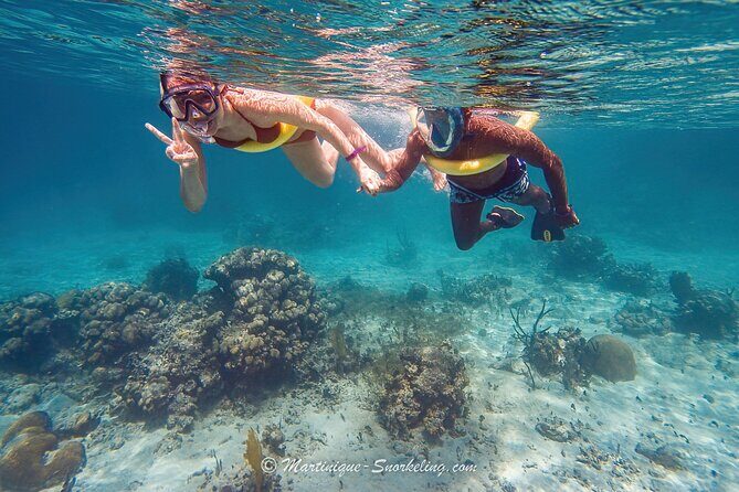 Boat Trip for Snorkeling Discovery of Corals - The Bottom Line