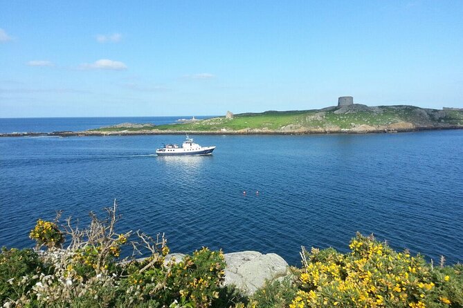 Boat Trip From Dublin City to Dun Laoghaire - Schedule and Timing