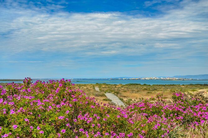 Boat trip from Faro to Ilha Deserta by Ferry - The Experience — What to Expect from Start to Finish