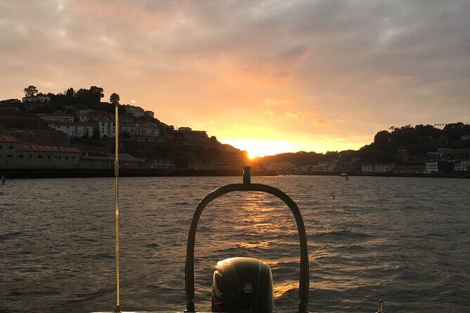 Boat Trip in Douro Porto - What the Reviews Say