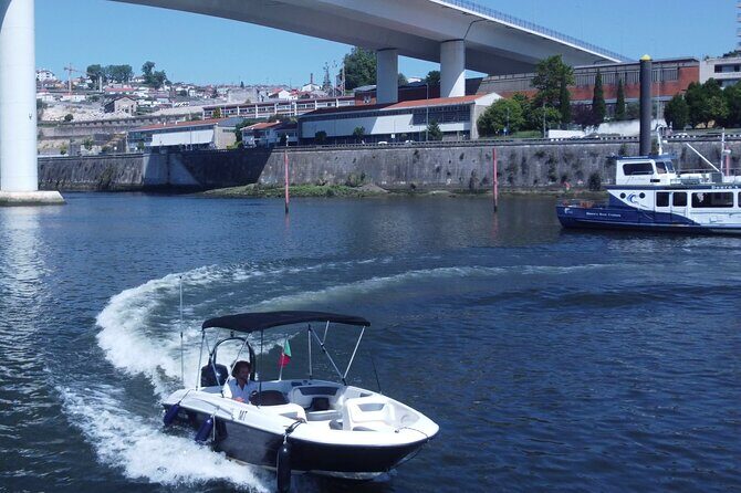 Boat Trip in Douro Porto - Who Will Love This Tour?