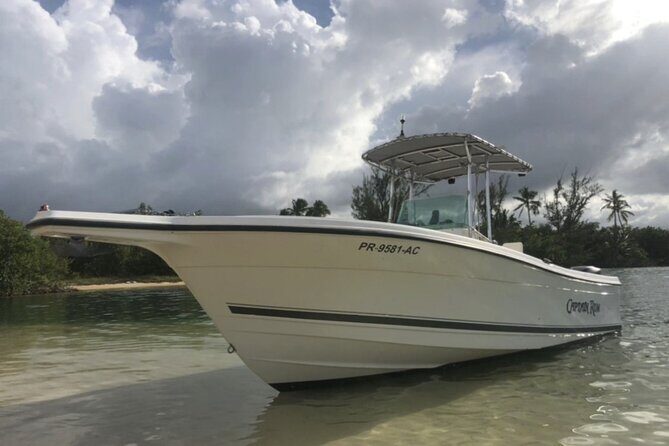 Boat trip in palomino /icacos /fajardo Puerto Rico - Booking and Departure