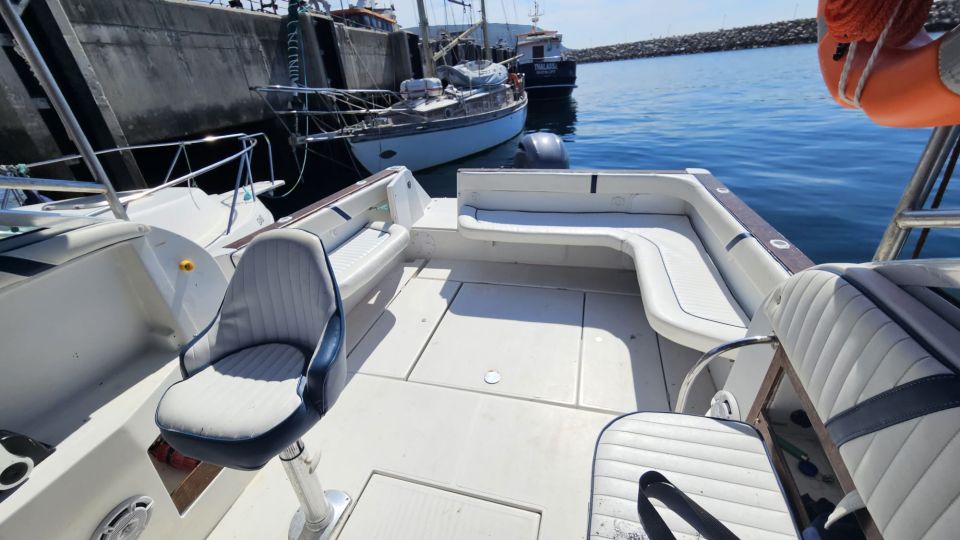 Boat Trip in Sesimbra (Public/Shared) - Potential Sellout Warning