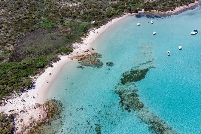 Boat Trip La Maddalena Archipelago - Departure From Palau - Visitor Feedback and Tips