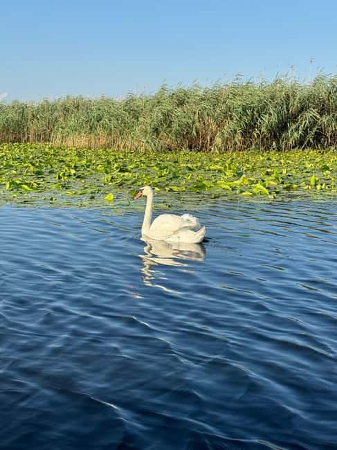 Boat Trip to Caraorman Forest  Danube Delta (67 hours) - Final Summary