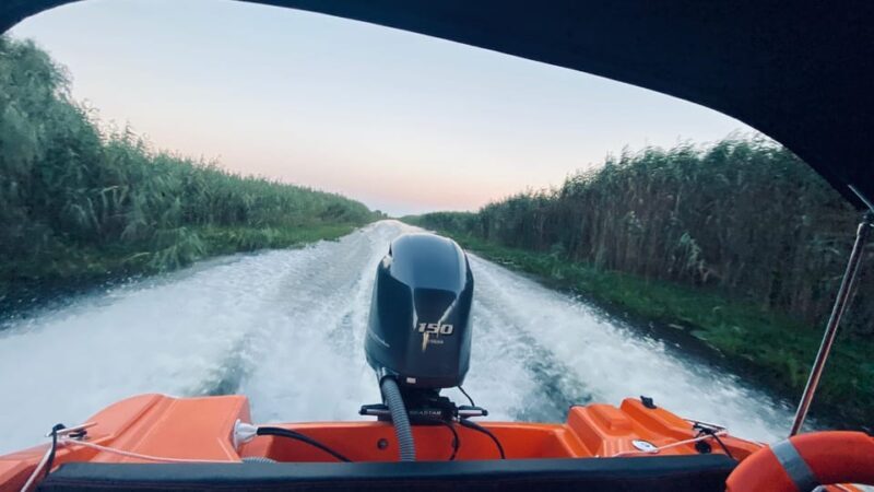 Boat Trip to Caraorman Forest  Danube Delta (67 hours) - Key Points