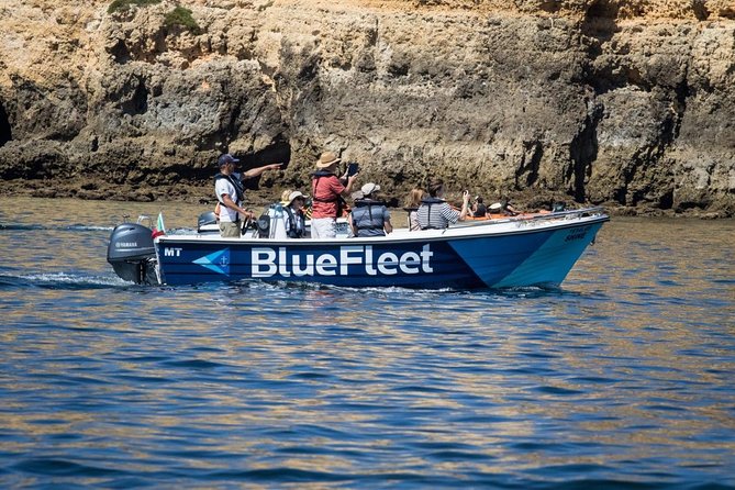 Boat Trip to Ponta Da Piedade From Lagos - Recap