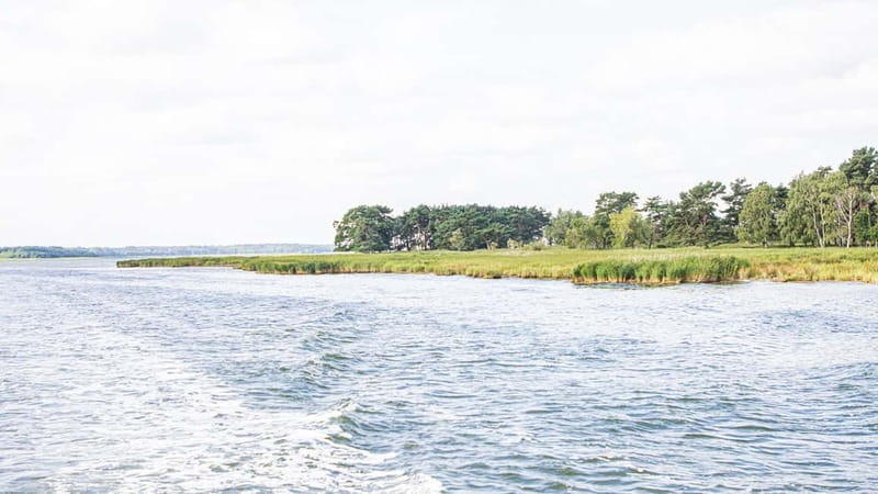 Boat trip to the Hanseatic city of Stralsund from Zingst - Who Should Consider This Trip?