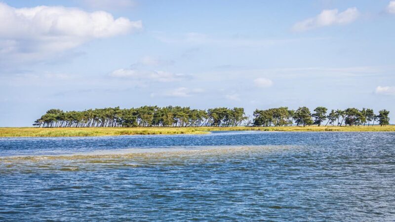 Boat trip to the Hanseatic city of Stralsund from Zingst - Final Thoughts on Value and Experience
