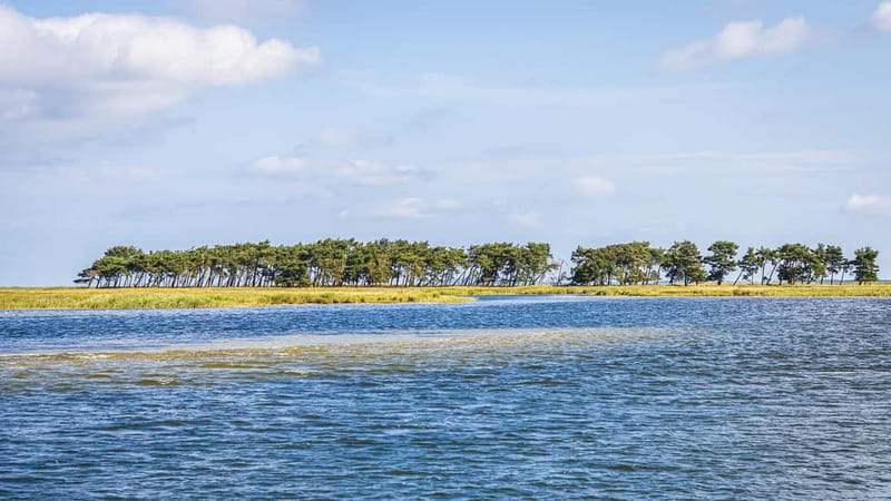 Boat trip to the Hanseatic city of Stralsund from Zingst - Frequently Asked Questions