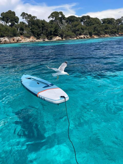 Boat Trip to the Lérins Islands and Cannes - Key Points