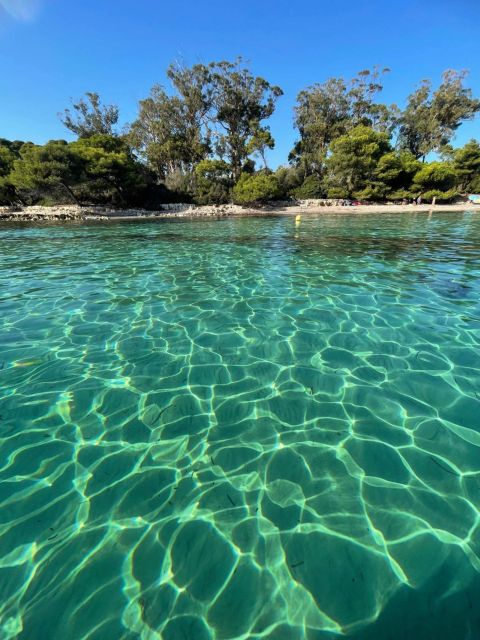 Boat Trip to the Lérins Islands and Cannes - Itinerary