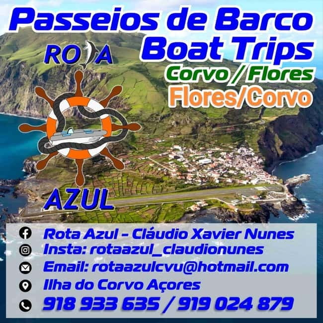 Boat trips to Corvo Island - Who Will Love This Experience?
