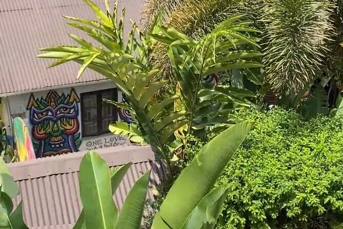 Bob Marley 9 Mile Tour and The Blue Hole Falls from Montego Bay - Final Thoughts