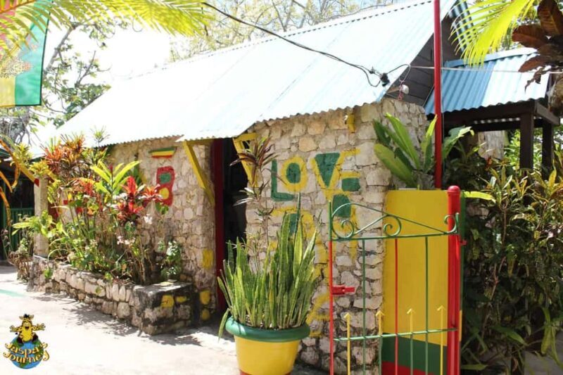 Bob Marley Birthplace and Dunns River Falls Private Tour - Exploring the Natural Wonder of Dunns River Falls