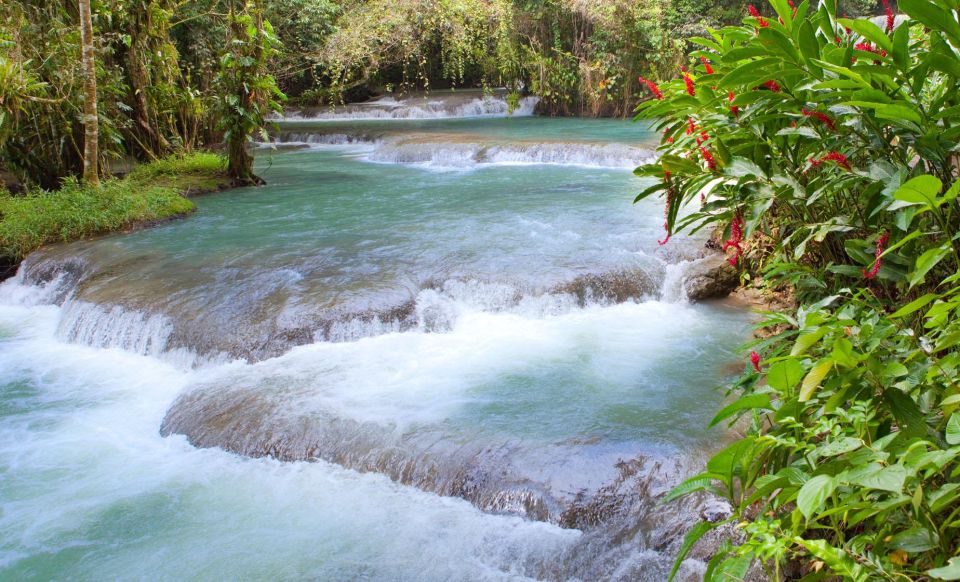 Bob Marley Birthplace and Dunn's River Falls Private Tour - Tour Highlights