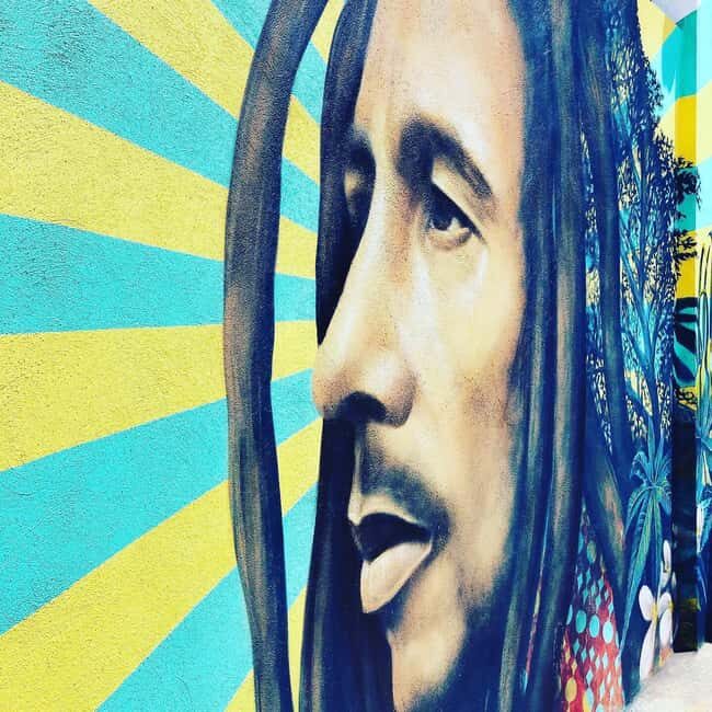 Bob Marley, Blue Hole, Secret Falls and Luminous Lagoon Tour - Value and What You’re Getting