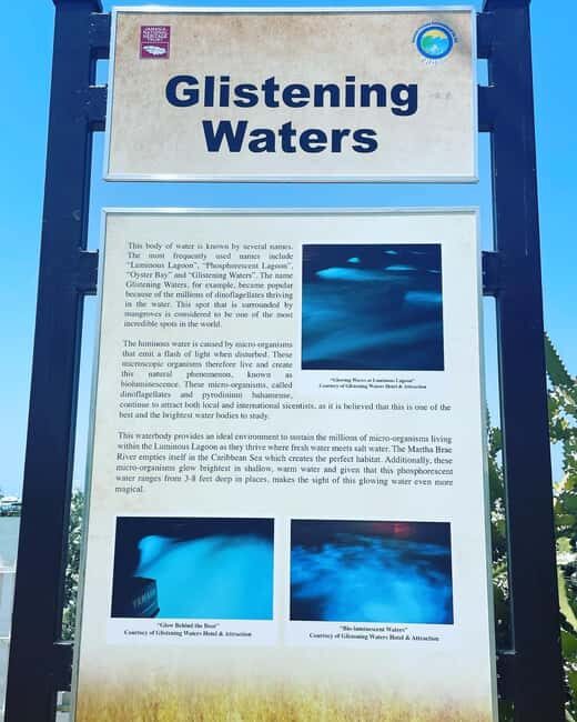 Bob Marley, Dunns River Falls and Luminous Lagoon Tour - FAQ