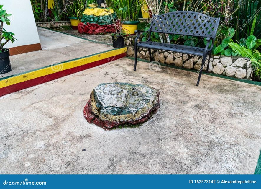 Bob Marley Mausoleum & Dunn's River Falls Private Tour - Exploring Dunns River Falls