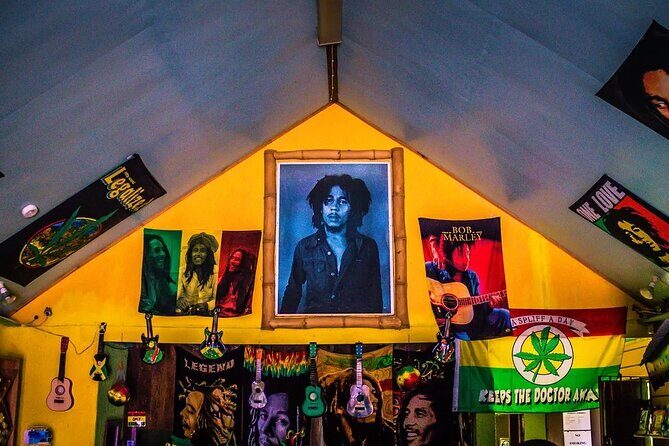 Bob Marley Museum and Kingston Sightseeing Tour from Ocho Rios - Introduction: Why This Tour Stands Out