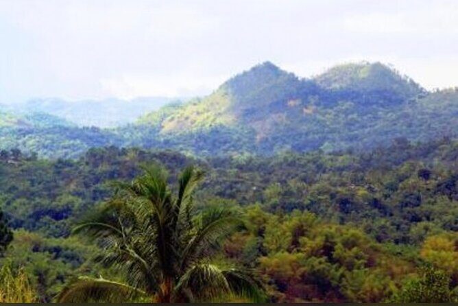 Bob Marley Nine Mile Home Private Tour from Montego Bay - Exploring the Bob Marley Nine Mile Home Private Tour from Montego Bay