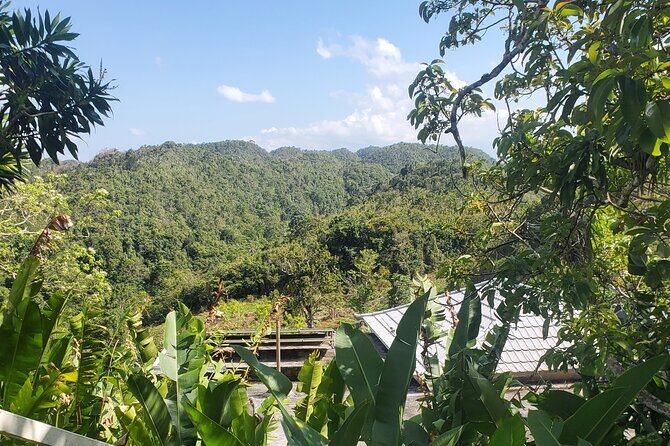 Bob Marley Nine Mile Home Private Tour from Montego Bay - FAQs