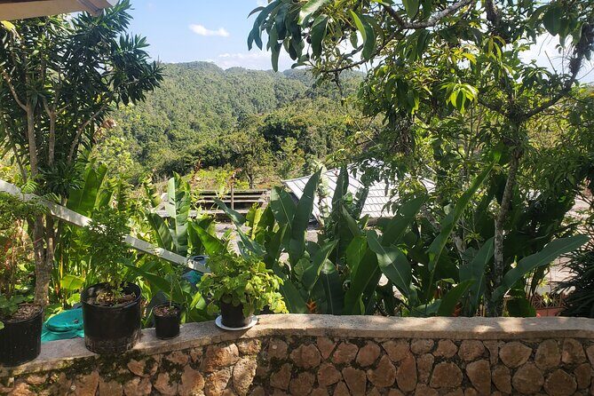 Bob Marley Nine Mile Home Private Tour from Montego Bay - Final Word