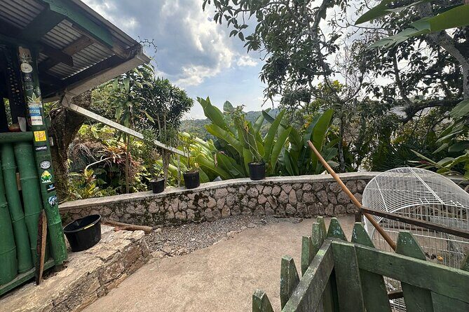 Bob Marley Nine Mile Sightseeing Tour from Ocho Rios - FAQs