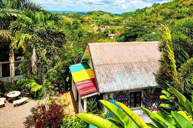 Bob Marleys Birthplace & Mausoleum From Montegobay Private Tour - Accessibility Information