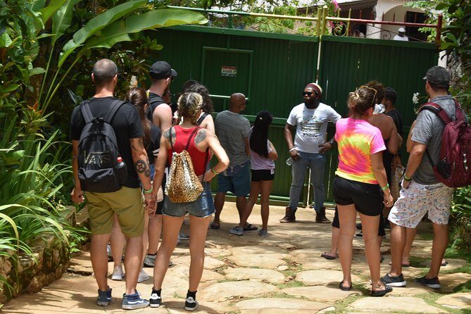 Bob Marley's Nine Mile Admission and Guided Tour from Montego Bay - An In-Depth Look at the Tour Experience