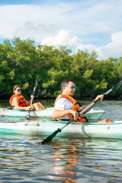 Boca Ciega Bay Island Kayak Tour - Key Points