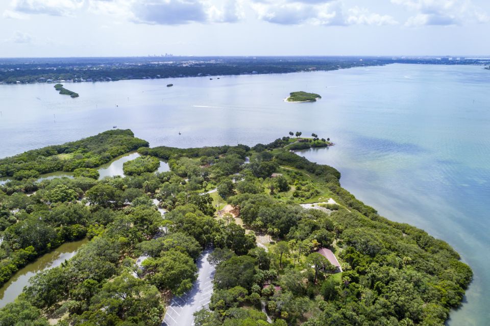 Boca Ciega Bay Island Kayak Tour - Highlights of the Tour