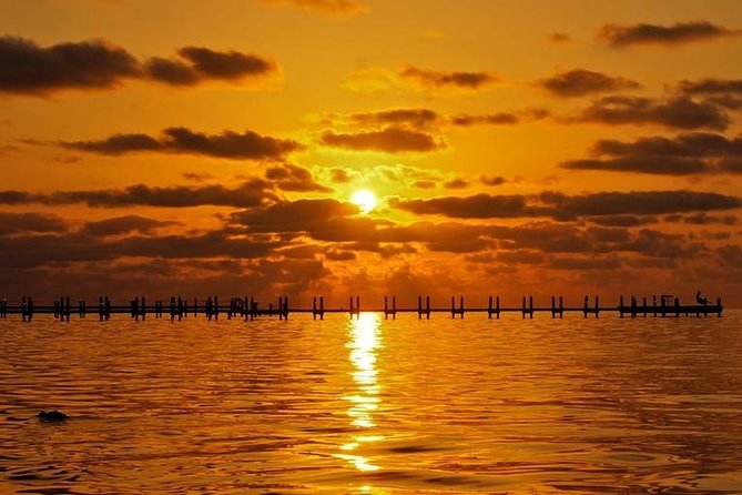 Boca Grande Inshore Fishing Charter - Inclusions for a Stress-Free Adventure